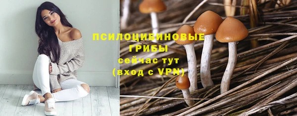 мяу мяу мука Нефтегорск