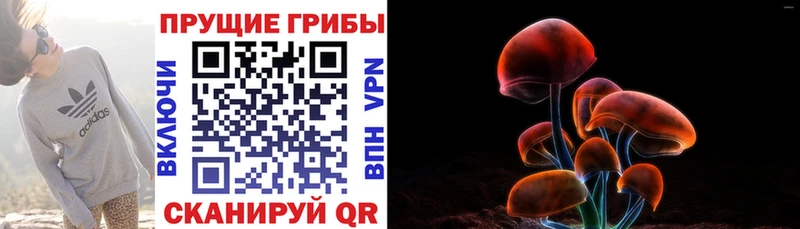OMG зеркало  Певек  Галлюциногенные грибы Psilocybine cubensis 